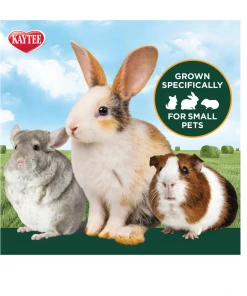 Kaytee Timothy Hay Plus, Carrots, 24 oz. Bag - 100502648 - Rabbit Feed -Pets & Wildlife Sales Store bc4ef2650cfacd72d7636799262d349f3bd16b48 14583109 10