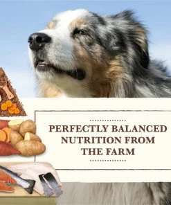 Whole Earth Farms Grain Free Salmon & Whitefish Recipe Dry Dog Food, 25 lb. Bag -Pets & Wildlife Sales Store bcaee731a5129abfb0a686a2e98e3e6f22c7651f 13735455 4