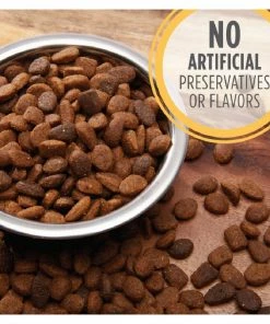 Iams ProActive Health Smart Puppy Chicken & Whole Grains Recipe Dry Puppy Food, 15 lb. Bag - Dry Dog Food -Pets & Wildlife Sales Store bd19e0460b6838959b5cd605ee491f3876a895ca 10951518 11 1