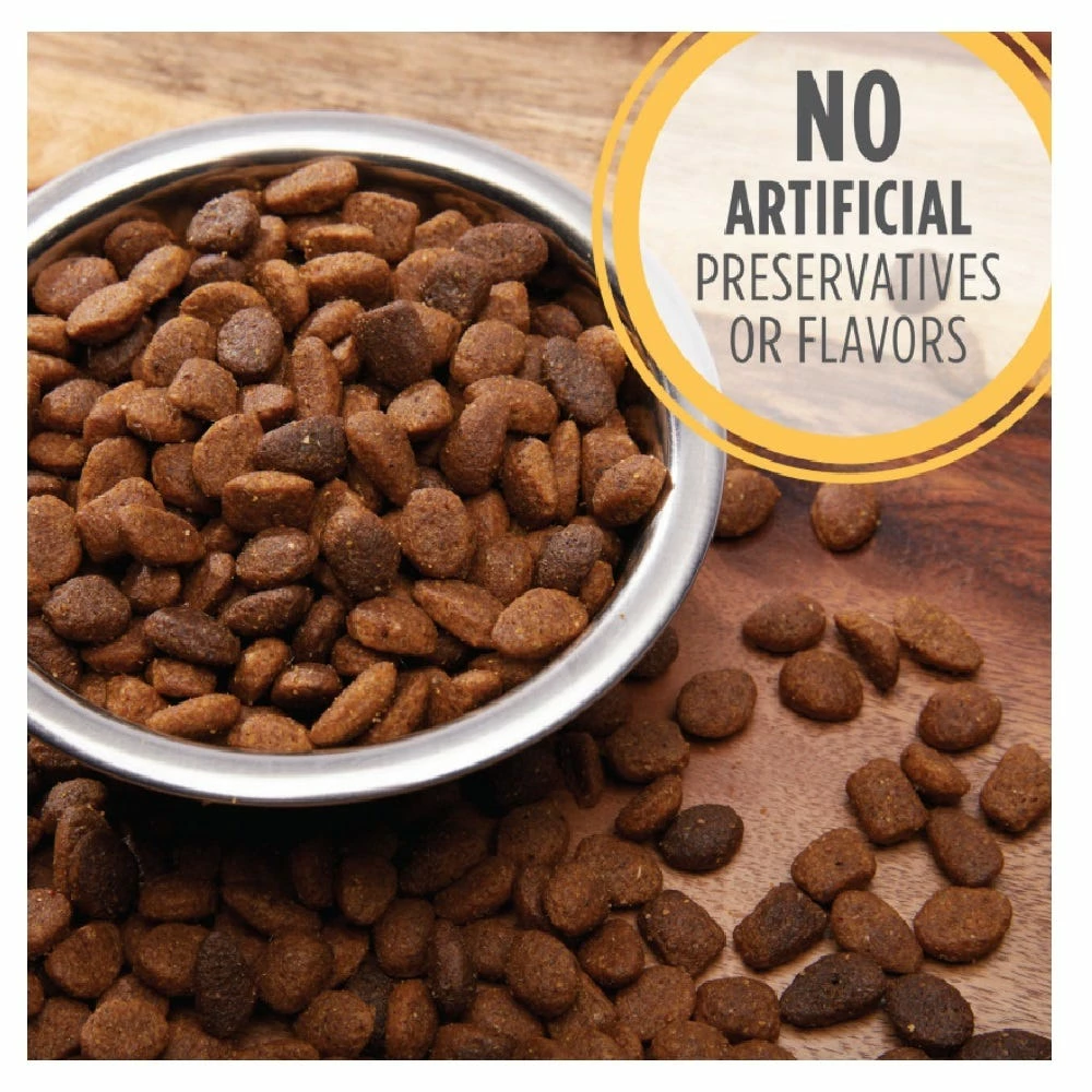 Iams ProActive Health Smart Puppy Chicken & Whole Grains Recipe Dry Puppy Food, 7 lb. Bag - Dry Dog Food 10 Iams ProActive Health Smart Puppy Chicken & Whole Grains Recipe Dry Puppy Food, 7 lb. Bag - Dry Dog Food - Image 8