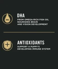 Purina Pro Plan Lamb & Oatmeal Formula Sensitive Skin & Stomach Dry Puppy Food, 24 lb. Bag - Dry Dog Food -Pets & Wildlife Sales Store bdffeeee45f53ad28a695721113fed6469607b73 352020266 7