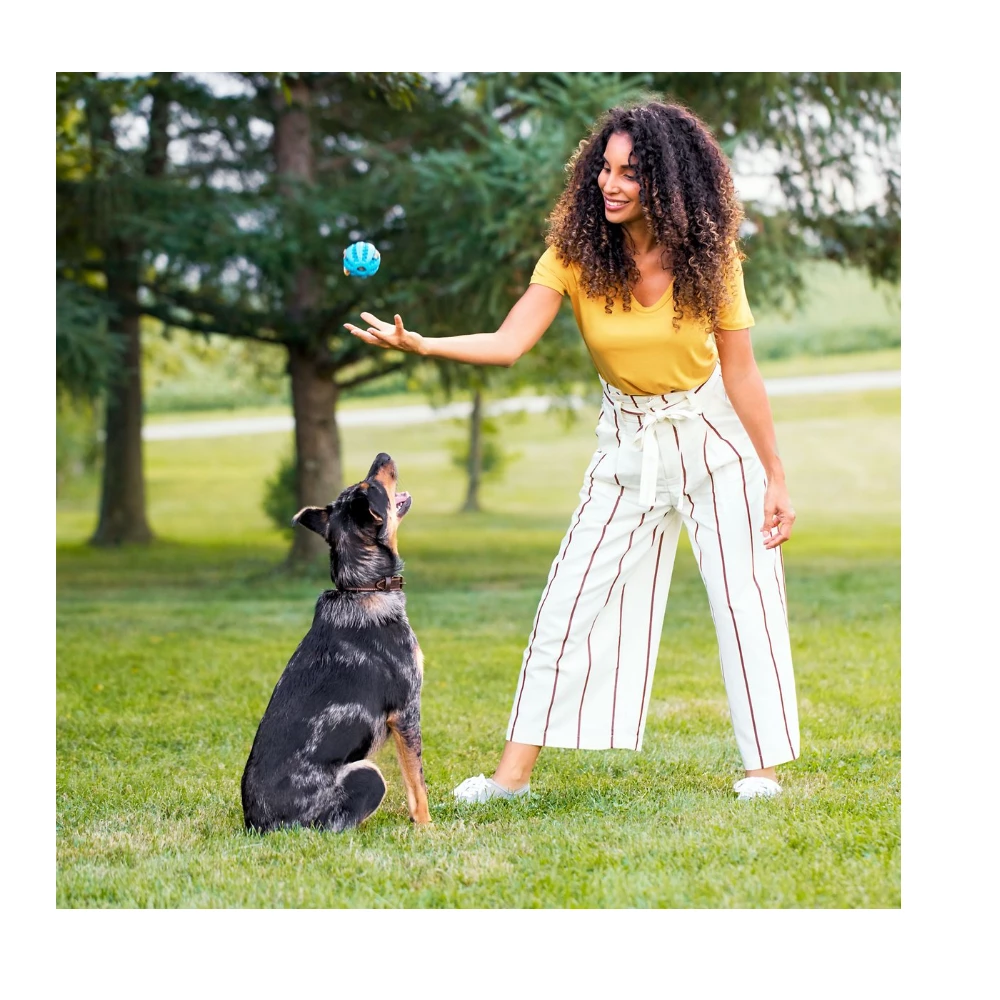 Rachael Ray Nutrish Real Beef & Pumpkin Recipe, Wet Dog Food,13 oz. Can 7 Rachael Ray Nutrish Real Beef & Pumpkin Recipe, Wet Dog Food,13 oz. Can - Image 5