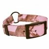 Scott Pet Center Ring Collar - 1649PK20 - Dog Collars & Leashes -Pets & Wildlife Sales Store c11bf94e7163fc14c642d7621cc3447528630dab 20809625