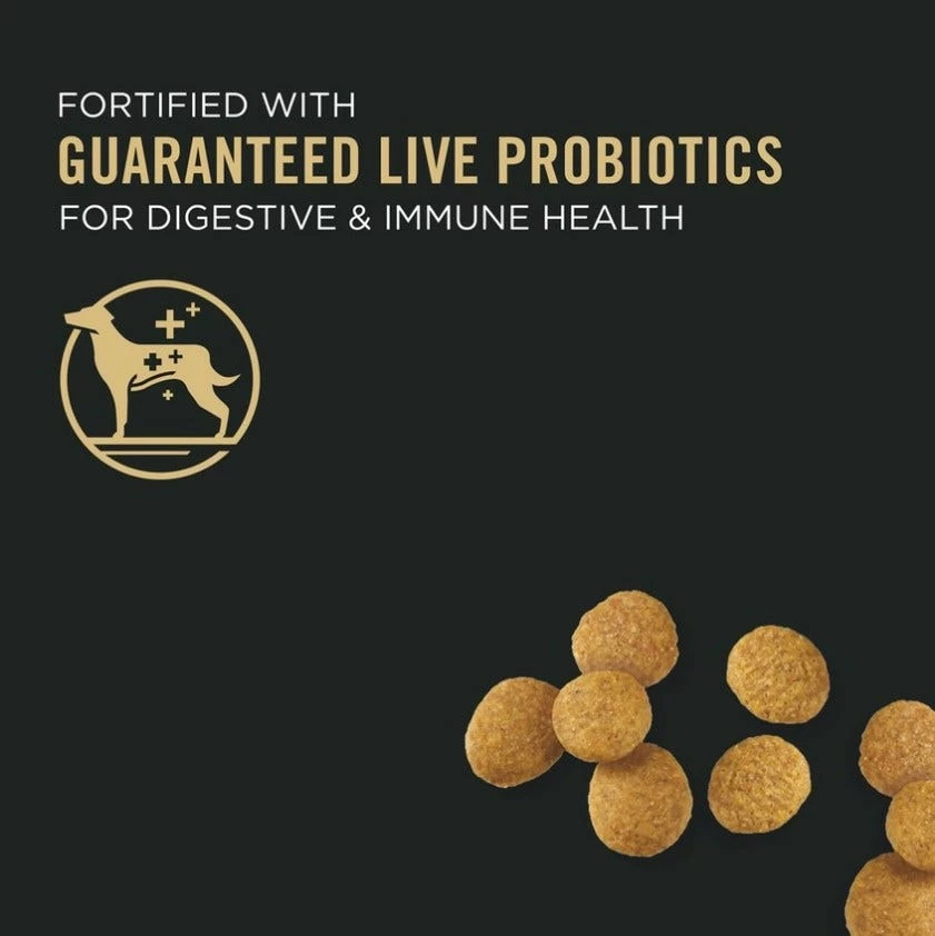 Purina Pro Plan Chicken & Rice Formula Large Breed Dry Puppy Food, 47 lb. Bag - Dry Dog Food 10 Purina Pro Plan Chicken & Rice Formula Large Breed Dry Puppy Food, 47 lb. Bag - Dry Dog Food - Image 8
