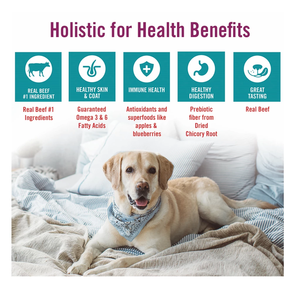 Chicken Soup for the Soul Grain Free - Beef & Legumes Recipe Dry Dog Food, 4 lb. Bag 9 Chicken Soup for the Soul Grain Free - Beef & Legumes Recipe Dry Dog Food, 4 lb. Bag - Image 7