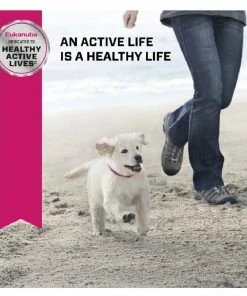 Eukanuba Large Breed Dry Puppy Food with Chicken, 4.5 lb. Bag - Dry Dog Food -Pets & Wildlife Sales Store c3557869a9e9313ab177d237280675bf3f3310e2 55682005 7