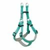 Terrain D.O.G. Reflective Neoprene Lined Dog Harness, Small, Mint - 07-9363-R8 - Dog Collars & Leashes 2 Terrain D.O.G. Reflective Neoprene Lined Dog Harness, Small, Mint - 07-9363-R8 - Dog Collars & Leashes -Pets & Wildlife Sales Store c3766bbca4c66a2a3114d835028583821da5ab34 67531782