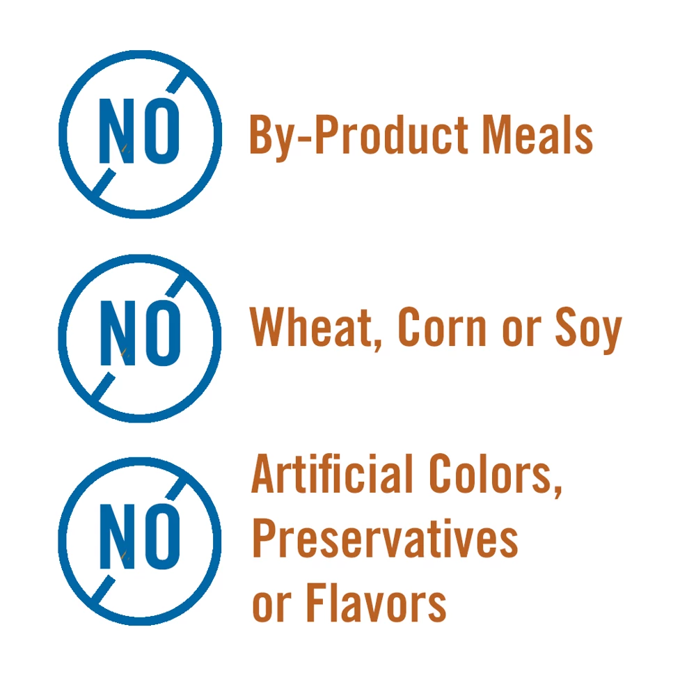 Chicken Soup for the Soul Grain Free - Turkey Stew Canned Wet Dog Food, 13 oz. Can 6 Chicken Soup for the Soul Grain Free - Turkey Stew Canned Wet Dog Food, 13 oz. Can - Image 4