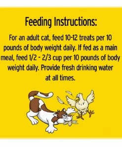 Temptations Tasty Chicken Flavor Cat Treats, 16 oz. Tub - Cats -Pets & Wildlife Sales Store c416c4650163740da0a92c17207c31d6c25eb13c 70200569 4