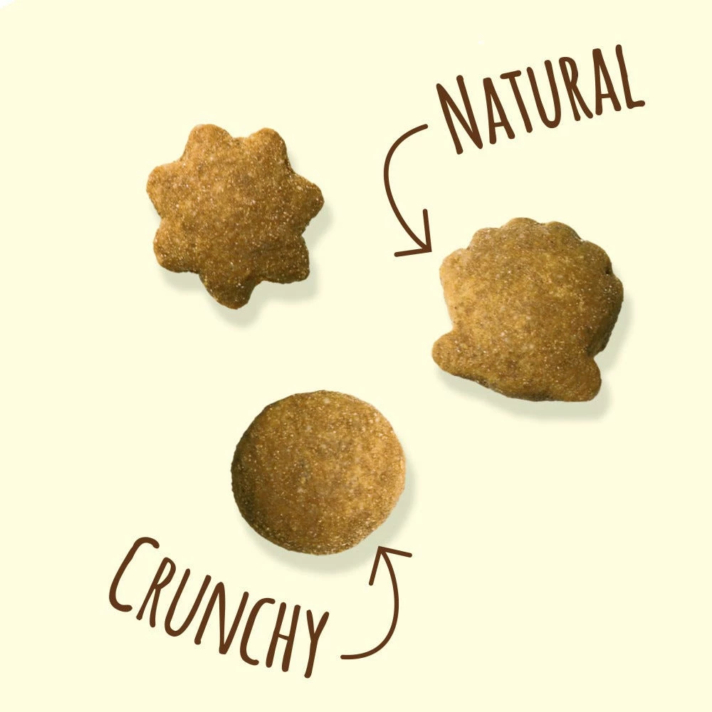 Purina Friskies Party Mix Naturals with Real Salmon Cat Treats, 2.1 oz. Pouch - Cat Litter 14 Purina Friskies Party Mix Naturals with Real Salmon Cat Treats, 2.1 oz. Pouch - Cat Litter - Image 12