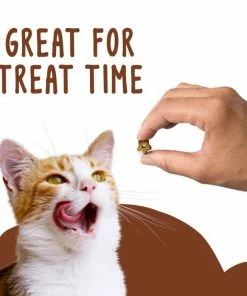 Purina Friskies Party Mix Wild West Crunch Adult Cat Treats, 2.1 oz. Pouch - Cat Litter -Pets & Wildlife Sales Store c593181d6387509e102e356c1438c5211f5c458a 35201133 7