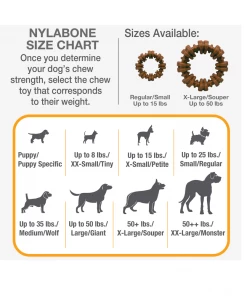 Nylabone DuraChew Textured Dog Chew Ring, Flavored Medley, X-Large/Souper, 1 Count - NCF315P - Dogs -Pets & Wildlife Sales Store c8a0553dc68891ec5ad33489d8dc61b1214bde51 67610169 9