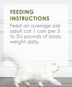 Purina Fancy Feast Classic Pate Turkey & Giblets Feast Wet Cat Food, 3 oz. Can -Pets & Wildlife Sales Store c9b43a7b459a739603d10ed1f038408725f76a4d 00050000429844 09