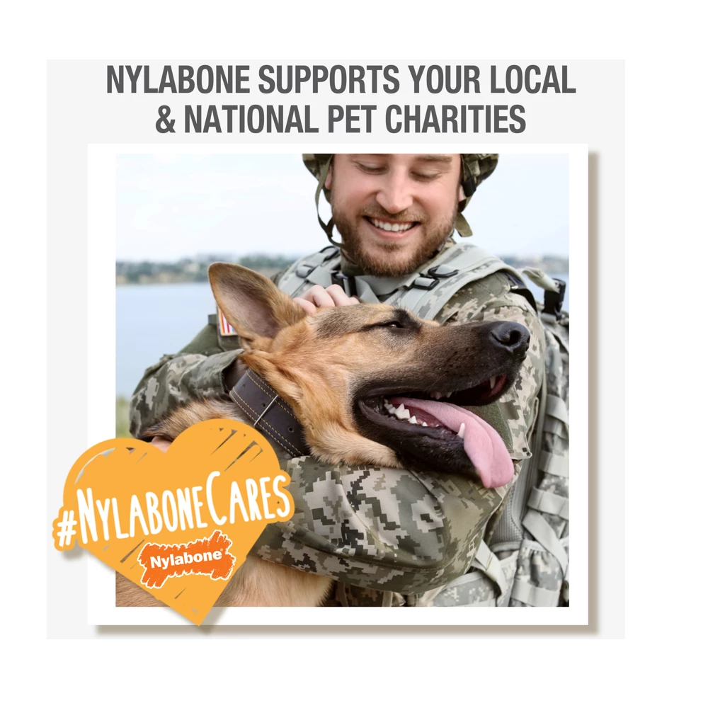 Nylabone Just for Puppies Teething Chew Toy, Chicken, Small/Regular, 1 Count - Dog Toys 10 Nylabone Just for Puppies Teething Chew Toy, Chicken, Small/Regular, 1 Count - Dog Toys - Image 8