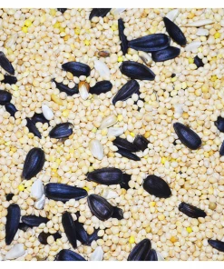 Rural King Superior Blend, Wild Bird Seed, 9 lb. Bag - Bird Seed & Food -Pets & Wildlife Sales Store cc292026257b19688dd34b6d95d70e017a5c336b 11850315 3