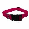 Scott Pet Adjustable Collar - 1428SFXL - Dog Collars & Leashes -Pets & Wildlife Sales Store cc755a78136f029057126548e6677647d92bea8d 20809074