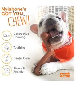 Nylabone Power Chew Flavored Durable Chew Toy for Dogs, Bacon, Large/Giant, 1 Count Bone - NB104P - Dog Toys 19 Nylabone Power Chew Flavored Durable Chew Toy for Dogs, Bacon, Large/Giant, 1 Count Bone - NB104P - Dog Toys -Pets & Wildlife Sales Store cde773e36255e4e466b682e4d09cabc04341f833 67610252 8