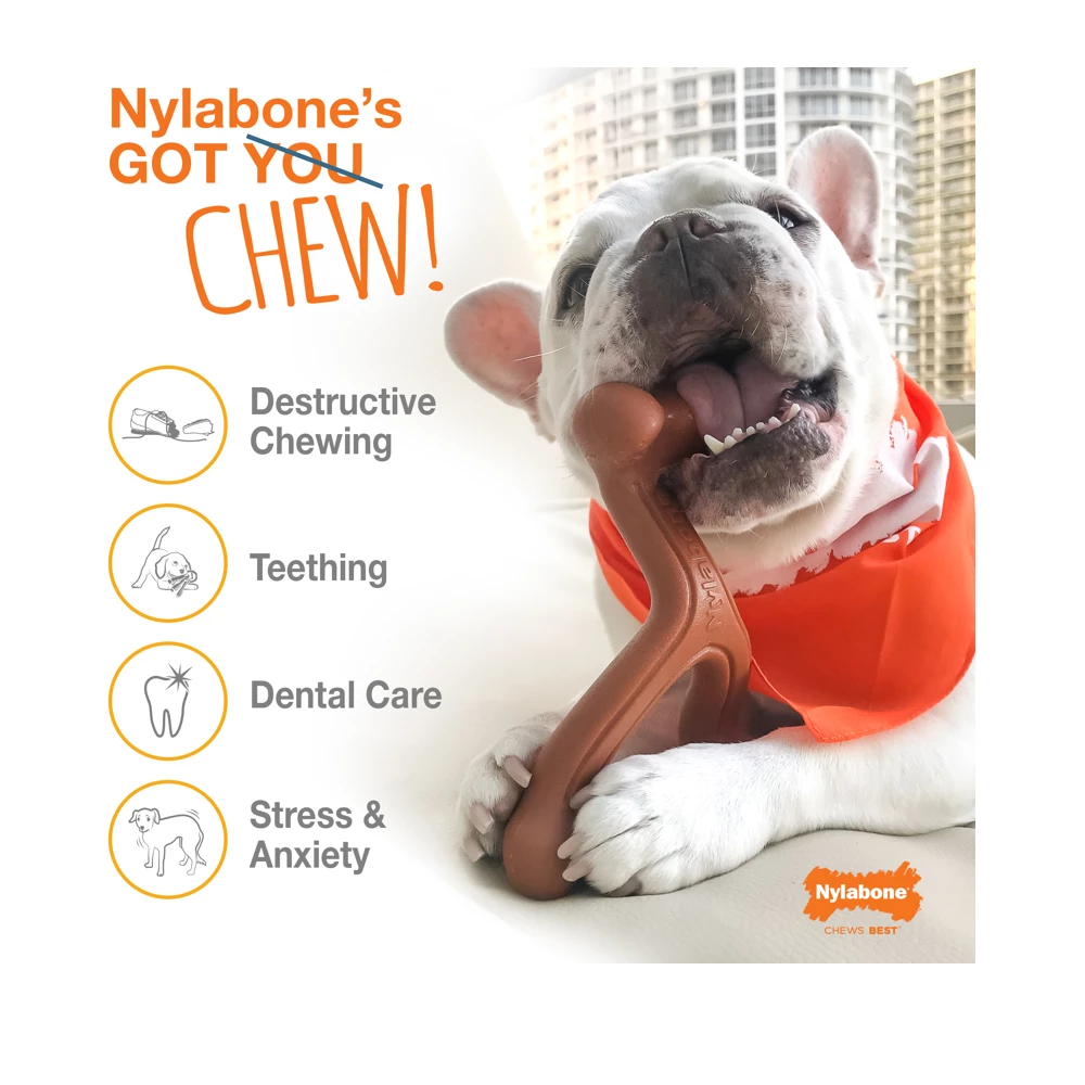 Nylabone Power Chew Flavored Durable Chew Toy for Dogs, Bacon, Large/Giant, 1 Count Bone - NB104P - Dog Toys 9 Nylabone Power Chew Flavored Durable Chew Toy for Dogs, Bacon, Large/Giant, 1 Count Bone - NB104P - Dog Toys - Image 7