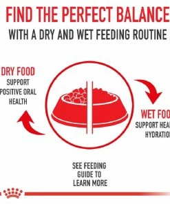 Royal Canin Puppy Appetite Stimulation Canned Puppy Food, 5.8 oz. Can - Wet Dog Food -Pets & Wildlife Sales Store ce2ce80eece515dea4309efa6b60bce0d87a0734 55682022 2