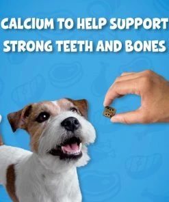 Purina ALPO Variety Snaps Little Bites Dog Treats with Beef Chicken Liver & Lamb Flavors Dog Treats, 32 oz. Box -Pets & Wildlife Sales Store cf7faa0acccac1e2092f8a54c2ed9a83fea7e28b 00011132003920 07