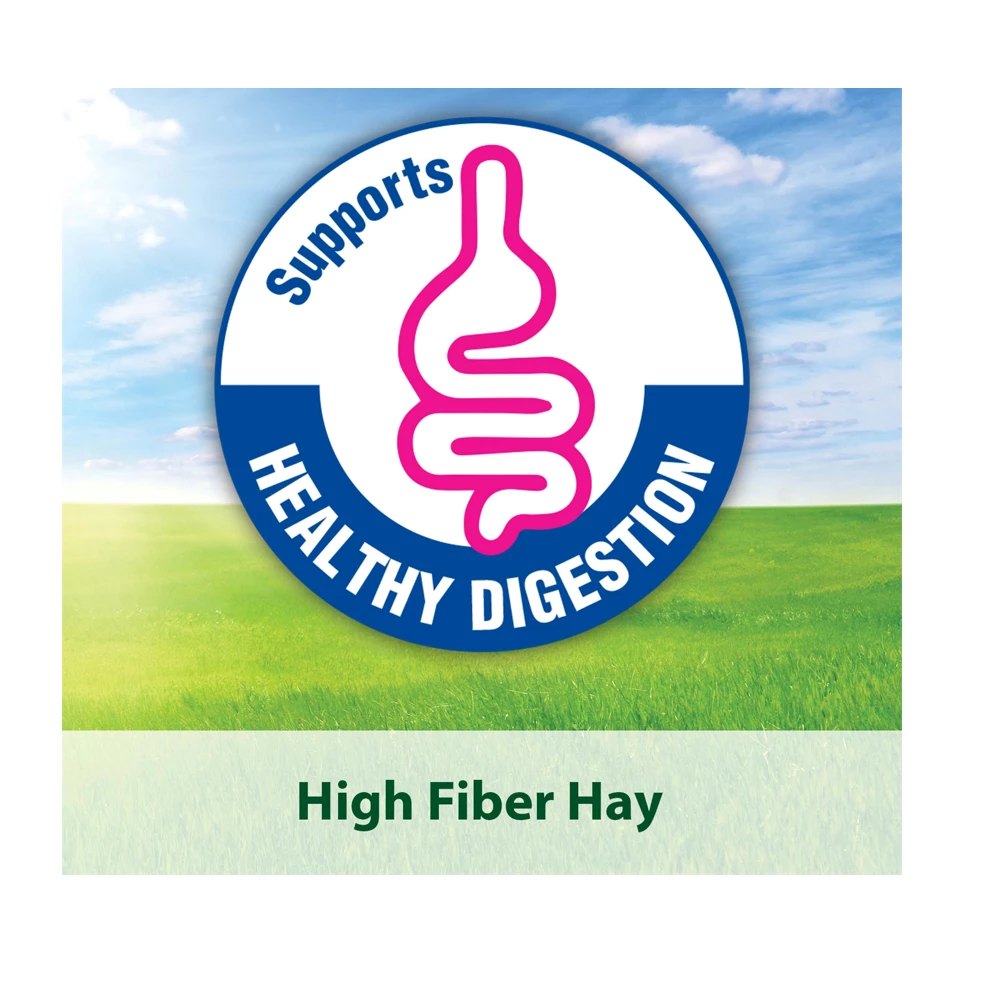 Kaytee Timothy Hay Blend Cubes, 1 lb. Pack - 100036895 - Rabbit Feed 7 Kaytee Timothy Hay Blend Cubes, 1 lb. Pack - 100036895 - Rabbit Feed - Image 5