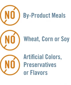 Chicken Soup for the Soul Mature - Chicken, Turkey & Brown Rice Recipe Dry Dog Food, 28 lb. Bag -Pets & Wildlife Sales Store d1594834dbf3f5865d2a35735274f9244a3c6070 2022003793 7