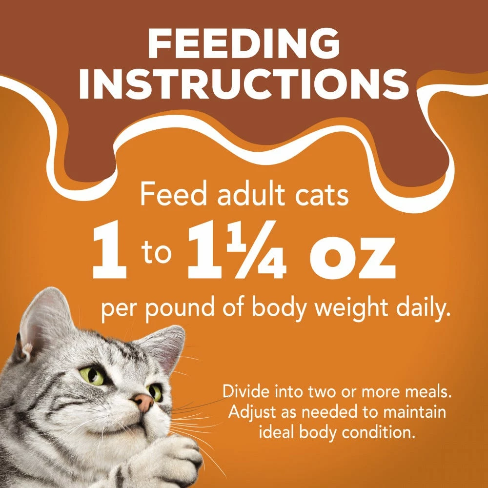 Purina Friskies Extra Gravy Chunky With Chicken in Savory Gravy Wet Cat Food, 5.5 oz. Can 6 Purina Friskies Extra Gravy Chunky With Chicken in Savory Gravy Wet Cat Food, 5.5 oz. Can - Image 4