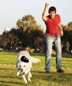 Kong®Extreme Lg - Dog Toys -Pets & Wildlife Sales Store d28e73e276126fc5f2fa07e1c313c16e1fab8d13 c628734807d9ee837918f6ae7201d1ce4439d536 39770042 5