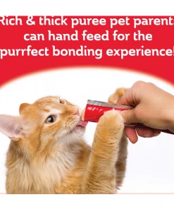 Hartz Delectable Squeeze up Cat Treat Senior 10 plus, Chicken, 4 Count - Cat Treats -Pets & Wildlife Sales Store d319d80f808914f868b967251336b7a541702db8 2022016808 2