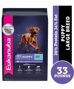 Eukanuba Large Breed Dry Puppy Food with Chicken, 33 lb. Bag - Dry Dog Food