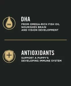 Purina Pro Plan Sensitive Skin & Stomach Salmon & Rice Formula Dry Puppy Food, 4 lb. Bag - Dry Dog Food -Pets & Wildlife Sales Store d3c316b6cbcc32a9549af03b1dce8f60f4d263d4 352020263 6