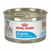 Royal Canin Starter Mousse for Mothers and Babydog Canned Food, 5.8 oz. Can - Wet Dog Food -Pets & Wildlife Sales Store d4ed668e6f976a3241249164bebf39e3422bd11a 55682020