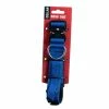 Boss Dog Brand Boss Dog® Brand 17" - 22" Adjustable Blue Dog Collar, Size Large - 60037 - Dog Collars & Leashes