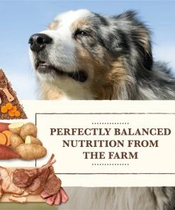 Whole Earth Farms Grain Free Recipe Dry Dog Food with Pork, Beef & Lamb, 25 lb. Bag -Pets & Wildlife Sales Store d57f4b7b6336a8a4297a6b128e97dbca597cfbf9 13735465 6