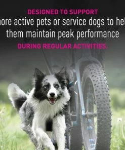 Eukanuba Premium Performance 26/16 Exercise Adult Dry Dog Food, 28 lb. Bag 15 Eukanuba Premium Performance 26/16 Exercise Adult Dry Dog Food, 28 lb. Bag -Pets & Wildlife Sales Store d5b71623bdce1768df2493f6fd077344f99fe531 55682013 8