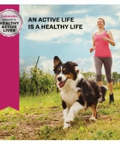 Eukanuba Lamb 1st Ingredient Adult Dry Dog Food, 30 lb. Bag -Pets & Wildlife Sales Store d63db907a7fc1f82aa3c14f215044eb20f8e9825 10951305 7