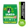 Iams Mini-Chunks Chicken & Whole Grains Recipe Dry Dog Food, 44 lb. Bag -Pets & Wildlife Sales Store d699964471367a37be64d755f17d7a6dcfa50650 10951700