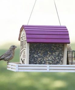 Woodstream Perky-Pet Star Barn Wood Chalet Bird Feeder - 50181 - Wild Bird Feeders 9 Woodstream Perky-Pet Star Barn Wood Chalet Bird Feeder - 50181 - Wild Bird Feeders -Pets & Wildlife Sales Store d6a74e244077cc24681bef354766e5722619ab56 80331867 3