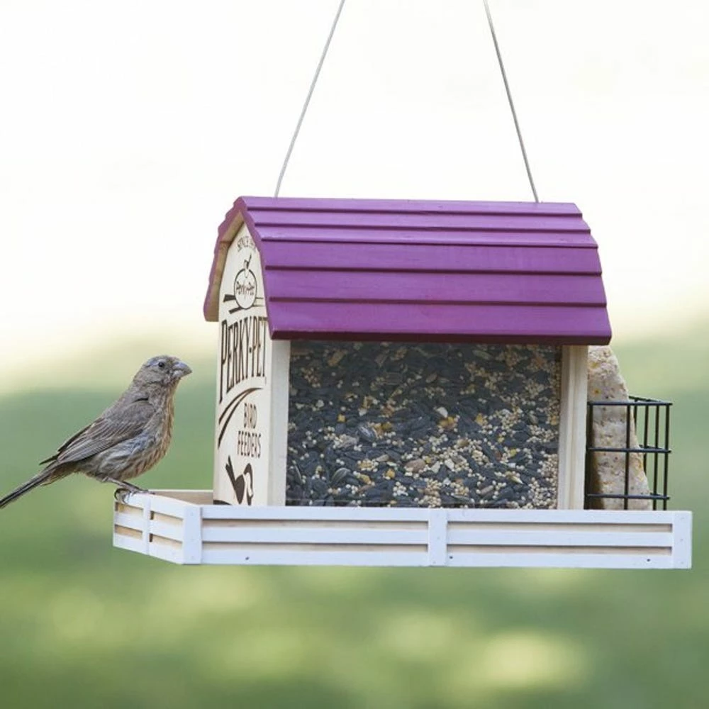 Woodstream Perky-Pet Star Barn Wood Chalet Bird Feeder - 50181 - Wild Bird Feeders 5 Woodstream Perky-Pet Star Barn Wood Chalet Bird Feeder - 50181 - Wild Bird Feeders - Image 3