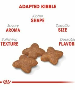 Royal Canin Size Health Nutrition Small Breed Adult Dry Dog Food, 2.5lb. Bag -Pets & Wildlife Sales Store d6d66f9dadb02e1c124211c93ef3f6387ba7fa49 55682031 3