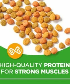 Purina Cat Chow Hairball, Healthy Weight, Indoor Dry Cat Food, 15 lb. Bag 19 Purina Cat Chow Hairball, Healthy Weight, Indoor Dry Cat Food, 15 lb. Bag -Pets & Wildlife Sales Store d715cb466255b9b6775cca36fbc27f2756a38b14 42040125 6