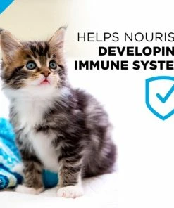 Purina Pro Plan FOCUS Chicken & Liver Entrée Wet Kitten Food, 3 oz. Can - Wet Cat Food 19 Purina Pro Plan FOCUS Chicken & Liver Entrée Wet Kitten Food, 3 oz. Can - Wet Cat Food -Pets & Wildlife Sales Store d718ad37a2f72238b91ddf8fa9a66e45fcb809c8 42041548 7