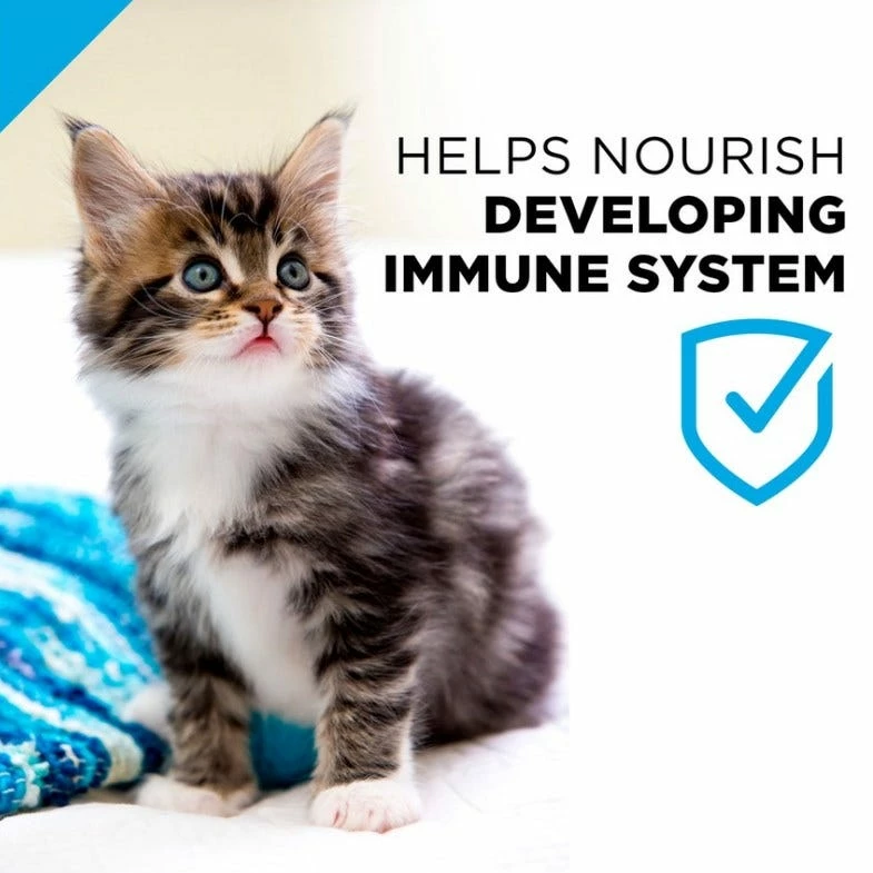 Purina Pro Plan FOCUS Chicken & Liver Entrée Wet Kitten Food, 3 oz. Can - Wet Cat Food 10 Purina Pro Plan FOCUS Chicken & Liver Entrée Wet Kitten Food, 3 oz. Can - Wet Cat Food - Image 8