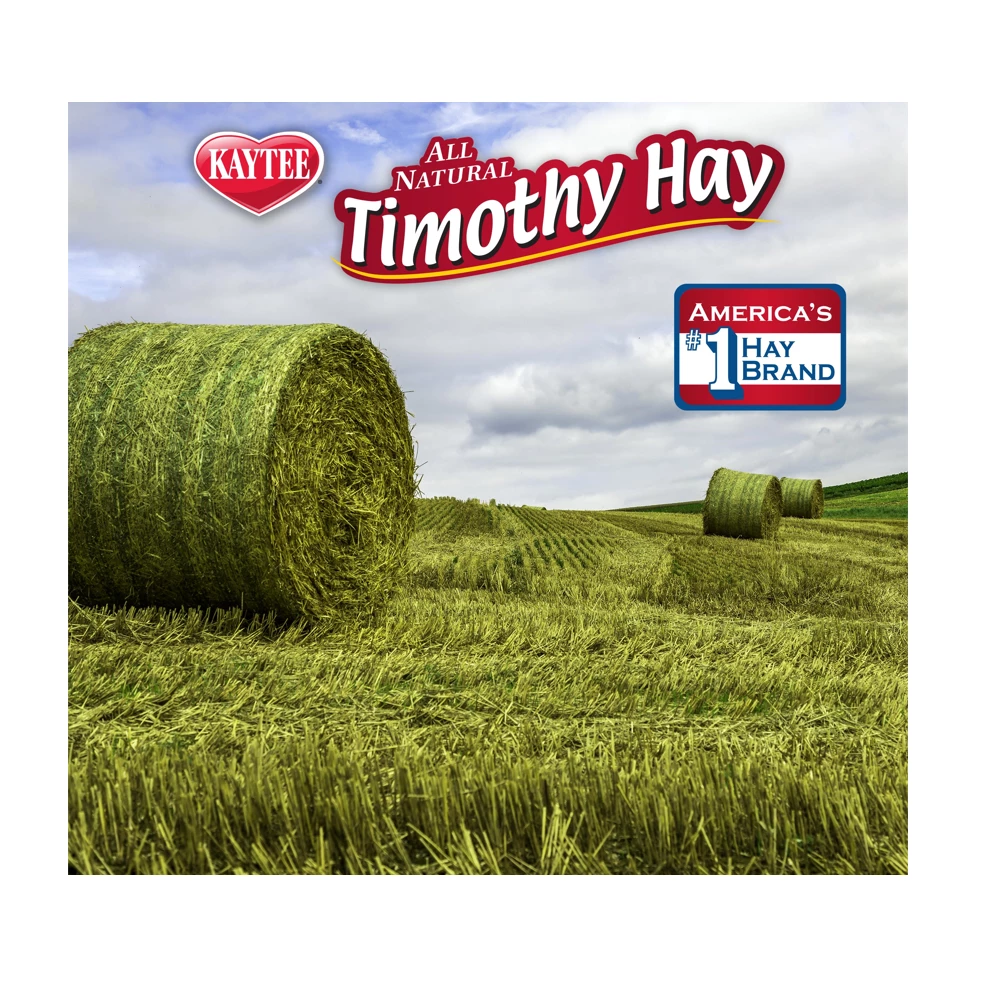 Kaytee Timothy Hay Blend Cubes, 1 lb. Pack - 100036895 - Rabbit Feed 6 Kaytee Timothy Hay Blend Cubes, 1 lb. Pack - 100036895 - Rabbit Feed - Image 4