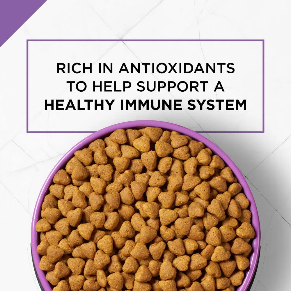 Purina Pro Plan Sport Active 26/16 Formula Dry Dog Food with Chicken, 37.5 lb. Bag 9 Purina Pro Plan Sport Active 26/16 Formula Dry Dog Food with Chicken, 37.5 lb. Bag - Image 7