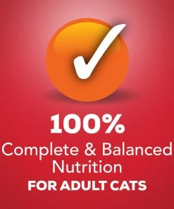 Purina Friskies Shreds With Beef in Gravy Wet Cat Food, 5.5 oz. Can -Pets & Wildlife Sales Store da138b84a2e3ee45d01cbe2a9ce7562368d1c0bc 00050000103645 05