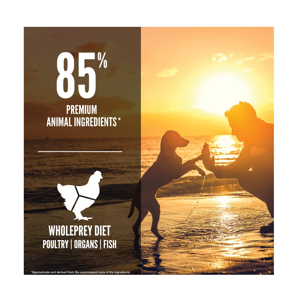 Orijen Puppy Grain-Free Dry Puppy Food, 25 lb. Bag - Dog Food 4 Orijen Puppy Grain-Free Dry Puppy Food, 25 lb. Bag - Dog Food - Image 2