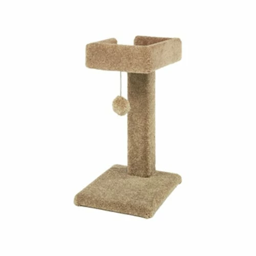 Ware Mfg. Kitty Cactus 24 Inch With Toy - 01021 - Cat Scratchers 3 Ware Mfg. Kitty Cactus 24 Inch With Toy - 01021 - Cat Scratchers