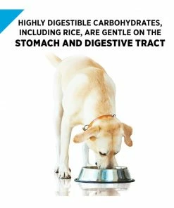 NESTLE PURINA PETCARE CO Purina Pro Plan Focus Sensitive Skin & Stomach Salmon & Rice Entrée Adult Wet Dog Food, 13 oz. Can -Pets & Wildlife Sales Store daf753ddedcd02f96cdbd9c01246bbbeceff3048 35203097 7