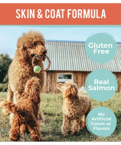 Howl's Kitchen Jerky Skin & Coat Formula Dog Treats, Salmon Cuts, 6.5 oz. Bag -Pets & Wildlife Sales Store db0e0d4574af016317b123f0bdfc783d764d2a25 51400659 2